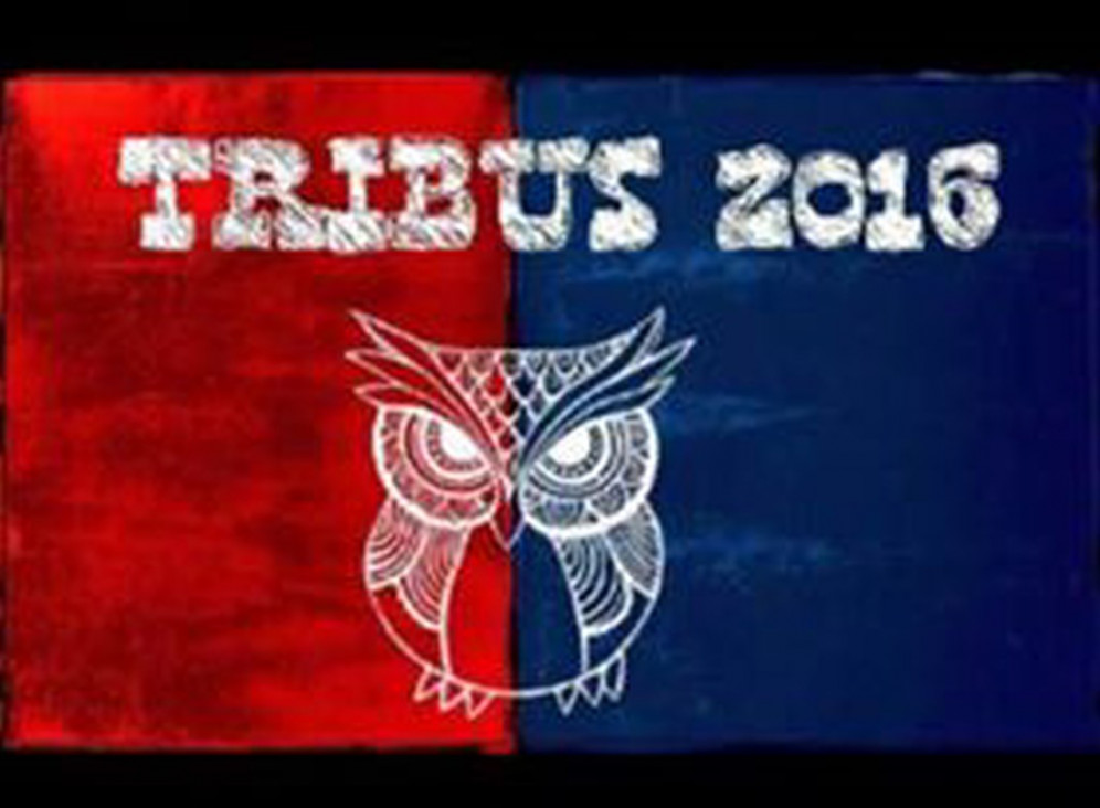 imagen Estos son los talleres de Tribus 2016