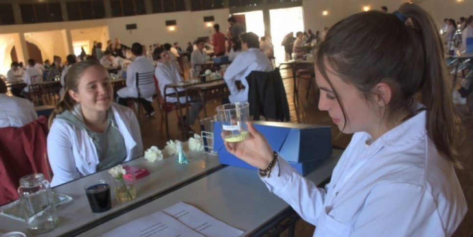imagen Más de 400 estudiantes participarán de la Olimpíada Argentina de Ciencias Junior