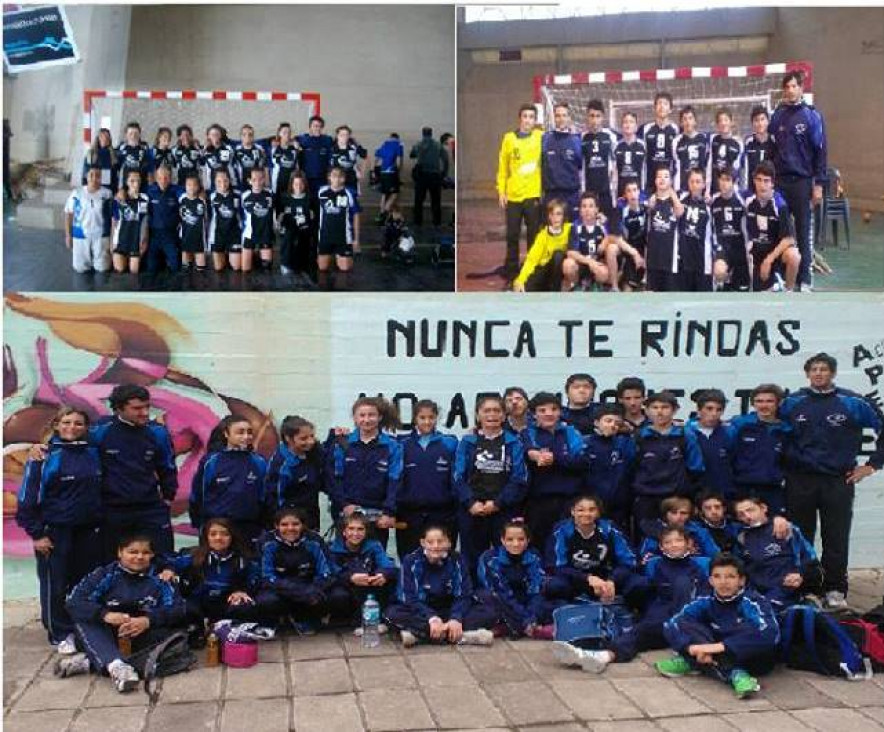 imagen BALONMANO: REPRESENTANTES DE ORO