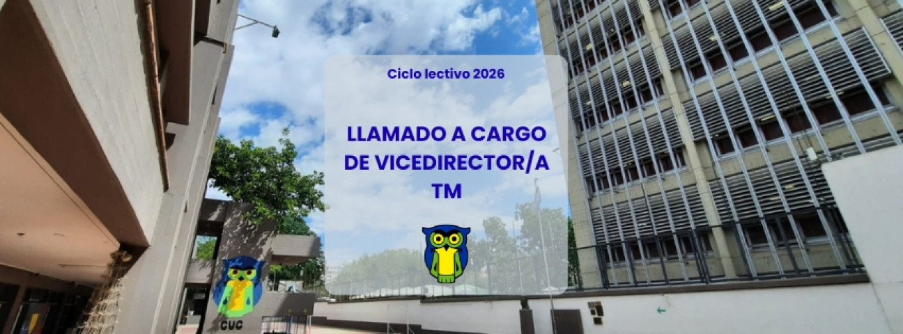 imagen  LLAMADO A CARGO DE VICEDIRECTOR/A TM