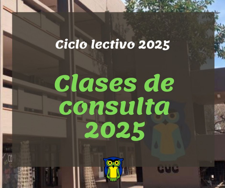 imagen Clases de consulta 2025