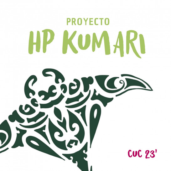 imagen Proyecto HP KUMARI
