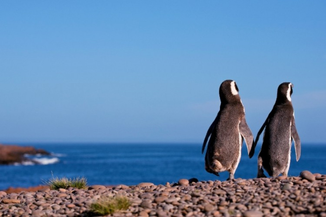 imagen Puerto Madryn en septiembre