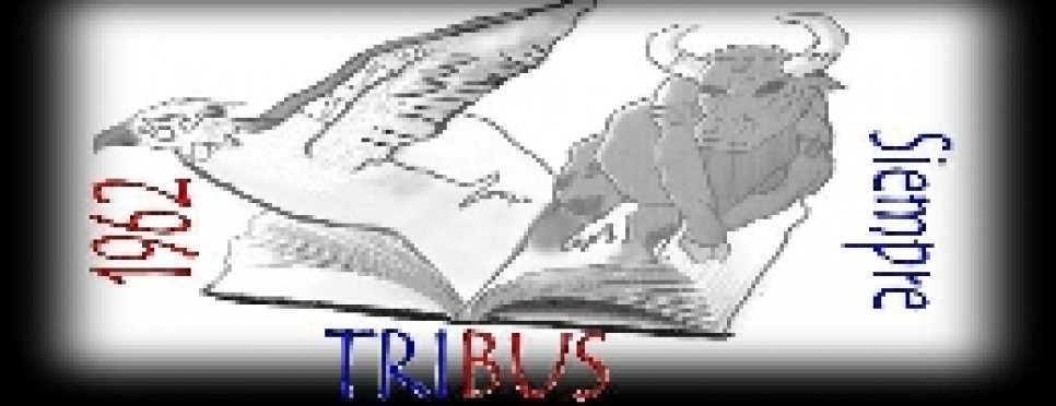 imagen Historia de Tribus