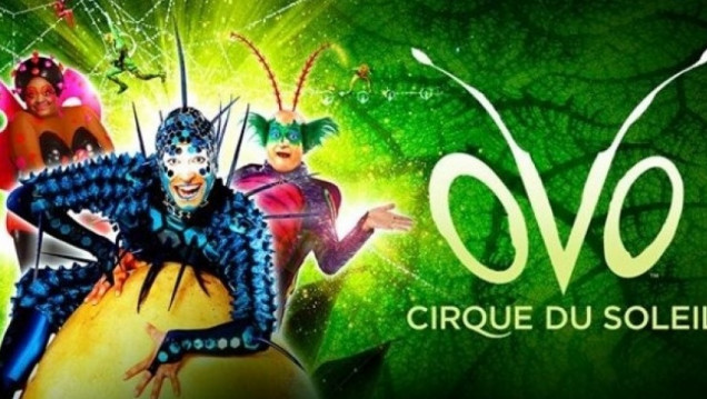 imagen El Cirque du Soleil invita a la comunidad de la UNCuyo