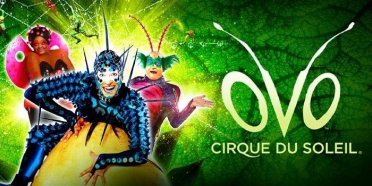 imagen El Cirque du Soleil invita a la comunidad de la UNCuyo