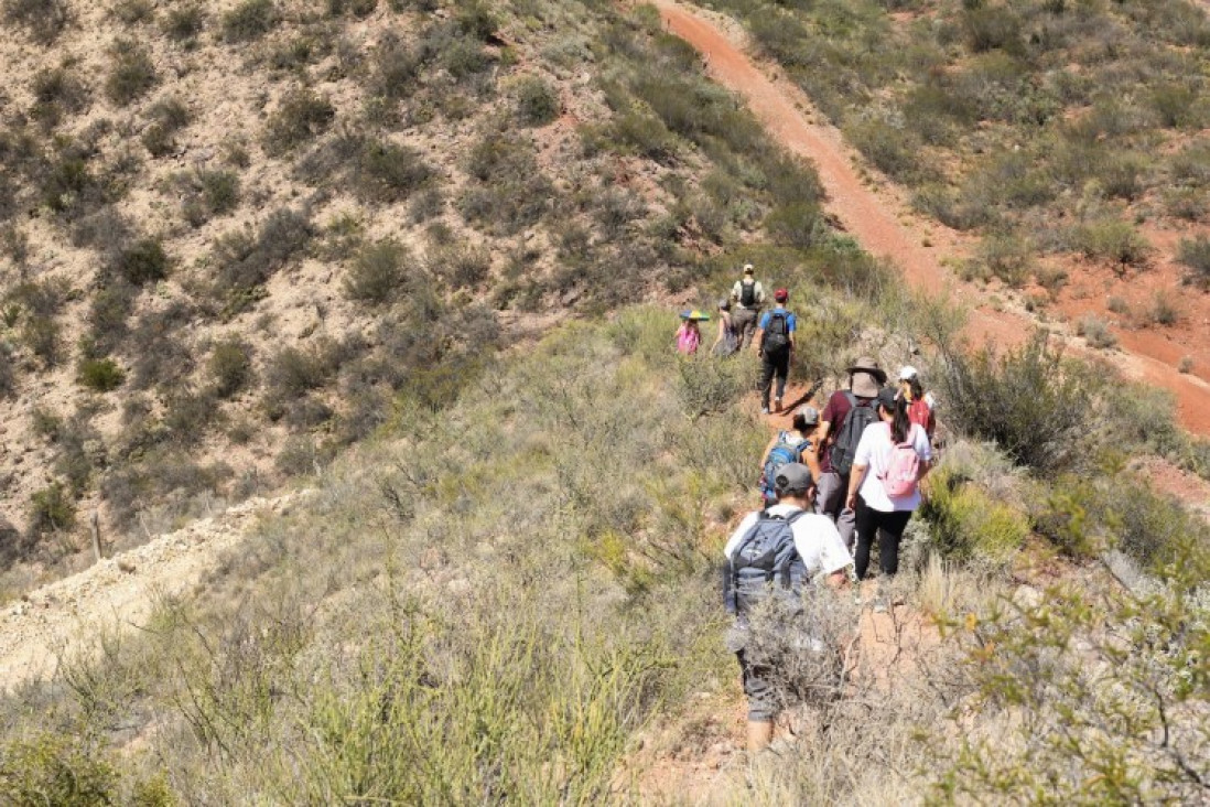 imagen Promueven caminatas turísticas para la comunidad universitaria